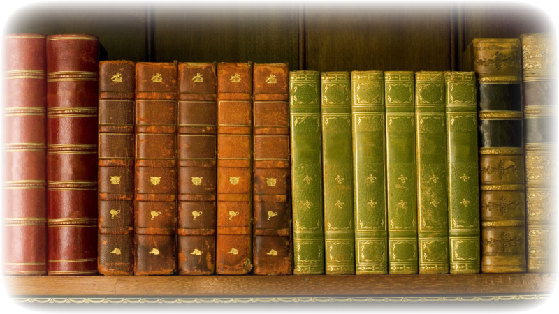 Several red, green, and orange books organized veritcally on a shelf. 